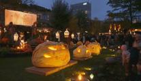 V Dánsku začala halloweenská sezóna. Park zdobí světla i dýně