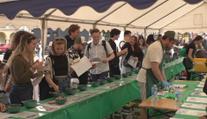 Hodnocení okurek i pití láku. Festival nakládané zeleniny nabídl rozmanité chutě