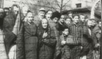 Nacisté před 80 lety rozhodli o osudu milionů Židů. Ti pro ně byli jen pouhá čísla