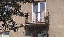 "Křičela jednu adresu!" Žena promluvila o vraždě holčičky (3)
