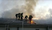 Na Pardubicku hořela hala plná kuřat. Zasahovalo osm jednotek hasičů