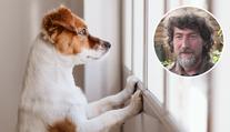 Konec karantény! Rady, jak připravit pejska na náš odchod do práce