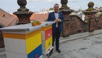 Mlsání z radnice. Sedmnáct kilogramů medu stočilo město Plzeň z úlů