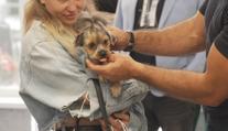 V Karlovarském kraji otevřeli novou veterinární kliniku. Má fungovat nonstop
