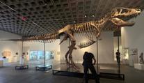 Kostra obřího tyranosaura má nového majitele. Prodala se za bezprecedentní částku
