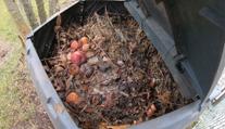 Recyklace bioodpadu je stále populárnější. Jeho odvoz je často zdarma