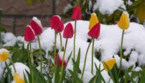 Do Evropy se vrátí sníh. Meteorologové si nevědí s počasím rady