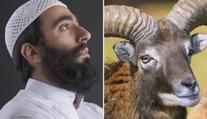 Úsměvný omyl na tísňové lince. Trefil řidič muflona, nebo muslima?!