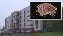 Svrab v domově pro seniory: Hygiena nařídila přísná opatření