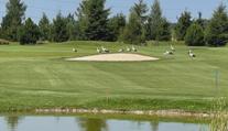 Ojedinělá podívaná v Mladé Boleslavi! Několik čápů tam "hrálo" golf