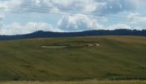 FOTO: Kruh v obilí u Rokycan. Kde se tam vzal?