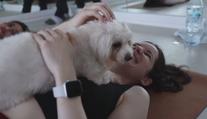 Cvičení a mazlení v jednom. V Dubaji zpříjemňují lidem jógu čtyřnozí společníci