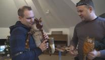 Největší sbírka historických dud u nás a možná i na světě je v Táboře