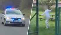 Exřediteli školy, kde se obnažoval školník, hrozí vězení. Policie řeší i zpronevěru