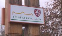 Kauza Lesní správy Lány je v další fázi, soudní spis má přes 5000 listů