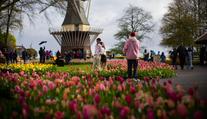 V zemi tulipánů začala jarní slavnost. Otevřela se nejkrásnější květinová zahrada