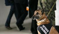 Příslušník policejního sboru kousnul pekaře a dostal padáka