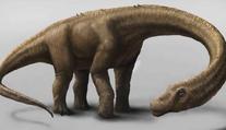 UNIKÁT: Vykopali kosterní pozůstatky největšího dinosaura!