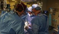 První člověk s transplantovanou prasečí ledvinou po dvou měsících zemřel