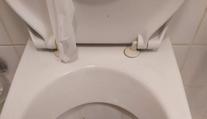Host se nastěhoval v Praze do hotelu, na WC ho překvapila krajta královská