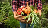 U farmářů lidé mohou za potraviny výrazně ušetřit. Velký přehled po krajích