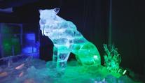 Výjimečná výstava v Plzni: Na ledové sochy dinosaurů láká muzeum Depo Moto Art