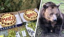 Pohádkoví medvědi slavili 20 let! Jsou líní a Kuba trochu alkoholik