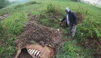Chovatel měl tajně pohřbívat krávy za městem. Lidé se bojí o vodu ve studních