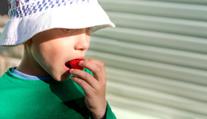 Osmiletý chlapec dostal ve škole jahodu a snědl ji. Krátce nato zemřel