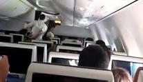 Pilot chtěl zabít všechny na palubě. Byl to pokus o teroristický útok, říká ministr