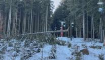 V sobotu se opět rozjede lanovka na Kleť, před třemi týdny na ni spadl strom