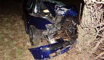 Řidič rozbil auto o strom, ve velmi vážném stavu skončil v nemocnici