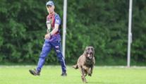 Pes Cherokee je mistr světa. Slouží u pražské policie