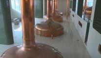 Po bludišti u Kozla se hodí Plzeň. Lidé z Plzeňského kraje lákají na výlety i pivo