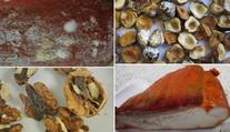 Tenhle hnus nám prodávají v obchodech! Nakupujete tam i vy?