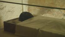 Archeologové slaví výročí přelomového objevu. Uplynulo od něj už sto let
