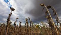 Meteorologové zveřejnili děsivou mapu. Nic podobného dosud nezaznamenali