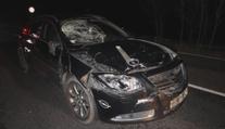 Kuriózní nehoda na Českolipsku. Na silnici se náhle zjevila kráva
