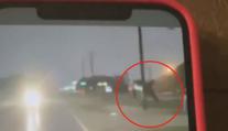 VIDEO: Skutečné Žralokonádo? Řidiče vyděsil letící žralok, kterého odnesla bouře
