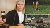 Věznice jsou přeplněné, vláda to chce změnit! Cílem jsou alternativní tresty