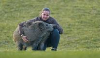 V české stanici mají kuriozitu. Místo psa ji hlídá divoké zvíře