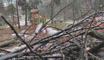 Vichr a sněhová kalamita zničily slovenskou zoo. Nedá se to ani popsat, říká ředitel