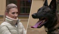 Hradní stráž poslala psa "bombaře" na reportérku. Ta měla v kapse výbušninu
