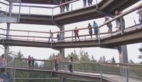 Vystoupení v korunách stromů. První umělec odstartoval letní sezonu koncertů