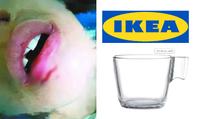 Uvařila si čaj do hrnku z IKEA, ten jí explodoval do obličeje