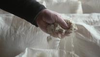 Bezlepkovou dietu drží lidé mnohdy dobrovolně. Mohou si tím ublížit, varují experti