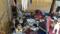 Veterináři vzali ženě 19 psů, králíky i morčata. Zvířata žila mezi odpadky