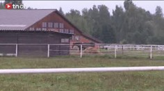 Divoký kůň ZALEHL CVIČITELKU! Musel jí transportovat vrtulník