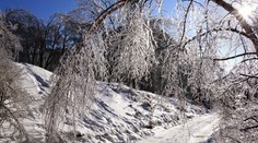 PŘEDPOVĚĎ: Dočkáme se sluníčka. Ranní teploty klesnou až k −12 °C