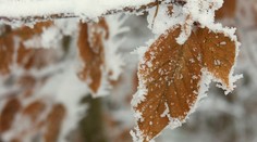 Mrznout začne už o víkendu! Meteorologové straší stoletou zimou